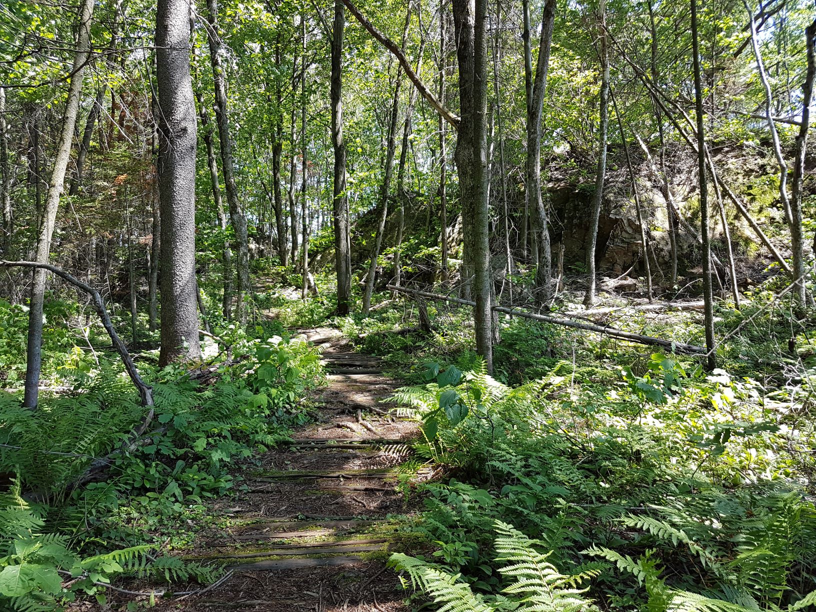 Communiqués – Fondation québécoise pour la protection du patrimoine naturel