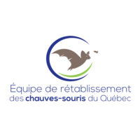 equipe de r+tablissement des chauves souris au Qu+bec 300 dpi