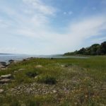 Visite guidée du parc des Hauts-Fonds et de la réserve naturelle des Battures-de-Saint-Augustin-de-Desmaures