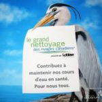 Nettoyage du rivage de la Réserve naturelle